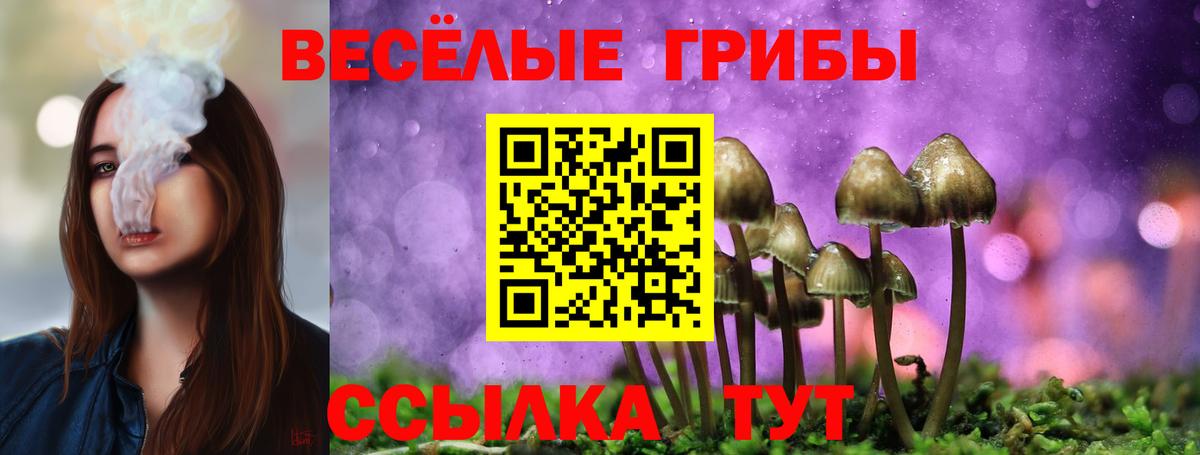 Псилоцибиновые грибы прущие грибы  Вход с VPN  Псилоцибиновые грибы мицелий  Комсомольск-на-Амуре 